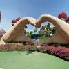 arlenevargasmiami