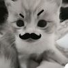 kaillaimupbangetttt_2013