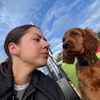 camparitheirishsetter