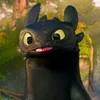 toothless110