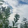 ashinsandathiri5