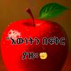 teme12161921