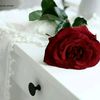 user8666123586760
