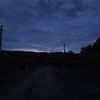 daria323320