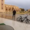dani.bob89
