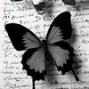 user2855195930577