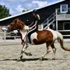 lynnvkxx
