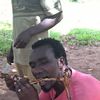 castory.daudi
