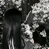 silvi04176