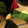 dds_270