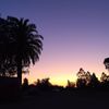 its_js_korah