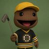 bradenthatdumba