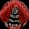josue_kjy