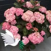 papillon.rose22