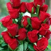rachida7544