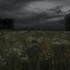 landscape_19