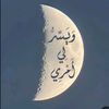 user4019297819375