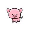 pig finds