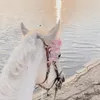 lunaahmad44
