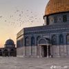 yossef.ibrahim66