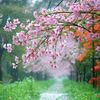 bosy.mohamed2228