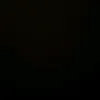 user037130620