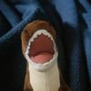 dinoboyatbay