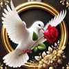 tanhisa.islam0