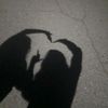 amoung_thestars