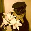 cat_love_baby___