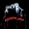seawin_grp