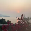 hoavan_2777