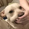 lnudbqlo