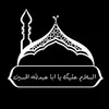 shiites17