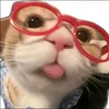 beiuu_.211