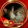 met8293