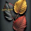 shoaib.khan20575
