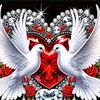 user6561207396019