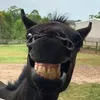 kht_milka27