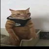 bberserk.yx