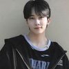 luvforsvt