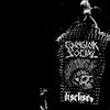 mundo punk latam