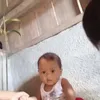 alona.amata