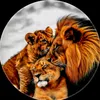 chhotedon4855