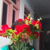 shikha.oli5