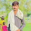 shahshah9288
