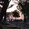choocpie_09