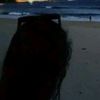 ilwysc_
