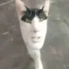 holopikilikim1