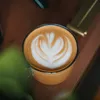 thibrews